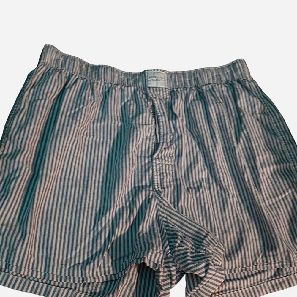 Men's American Eagle Striped Boxer Shorts - Blue and White